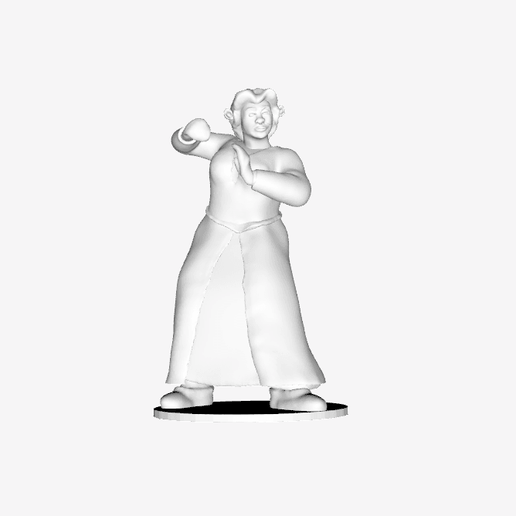 Shrek - Fiona - Fighter
