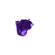 artery to brain - STL6__phong_diffuse_colo.stl 3D Model of Canine Brain with Arteries