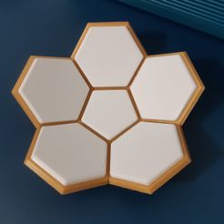 VidePoche_iguigui_3.jpg Archivo STL gratis Vide poche nid d'abeille・Modelo para descargar y imprimir en 3D