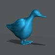 Duck.jpg Утка