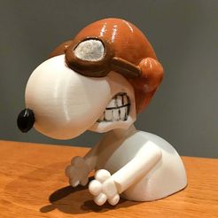 IMG_4169.JPG Бесплатный STL файл Snopdog ace pilot・Модель 3D-принтера для загрузки