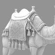 Detailed-Arabian-Camel-Saddled-Desert-Mount.87.jpg Detailed Arabian Camel - Saddled Desert Mount