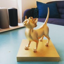 13323184_963024207151039_6415458449497076864_o.jpg STL-Datei Trophy - The Golden Kittens kostenlos・3D-Druckvorlage zum Herunterladen