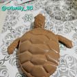 20240303_161255.jpg Articulated Sea Turtle - Flexi print in place
