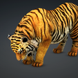 08.png TIGER - DOWNLOAD TIGER 3d model - animated for blender-fbx-unity-maya-unreal-c4d-3ds max - 3D printing TIGER FELINE - CAT - PREDATOR