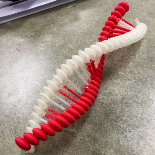 Capture_d_e_cran_2016-02-02_a__15.49.52.png DNA-Molekül