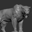 ZBrush-Document6.jpg Sabertooth