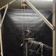 DSC_0183_1500px.jpg OBJ file Life size baby T-rex skeleton - Part 07/10・3D printer design to download
