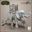 release_elephant_battle_4.jpg War Elephant - Carthaginian Punic Wars