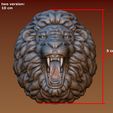 20.jpg Lion head