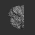 5.jpg Bison angry head