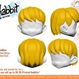 wig-disp.jpg [KABBIT ADDON] - Bobbed Wig for Kabbit - (For FDM and SLA Printers)