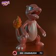 005-Charmeleon-SigmaDesign.jpg pack - charmander charmeleon charmeleon charizard mega charizard x mega charizard y