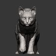 bengal-cat7.jpg Bengal cat 3D print model