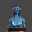 Captura-de-pantalla-2023-10-08-184719.png Neytiri Avatar Bust