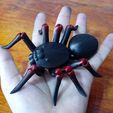 20210101_124806.jpg flexi print  black tarantula spider