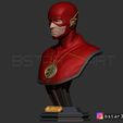 02.JPG The Flash Bust