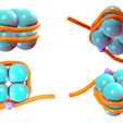 Histone_Render_2.png Histone Structure