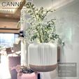 CANNELE_OnFridge_ToLivingRoom.jpg CANNELÉ  |  Wall / Fridge Planter