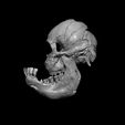3a.jpg Calf Skull with Cyclopia