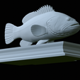 Dusky-grouper-50.png fish dusky grouper / Epinephelus marginatus statue detailed texture for 3d printing