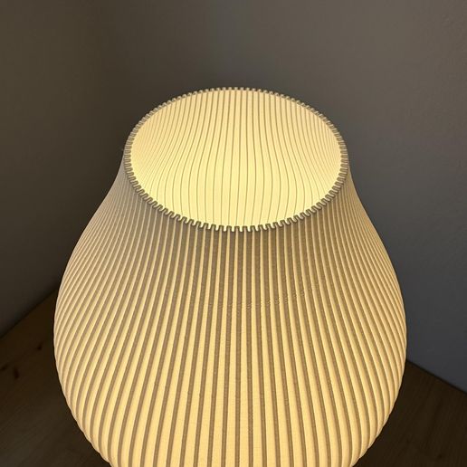 432788552_2235509409987618_6248626197533820537_n.jpg Tulip lampshade