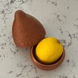x2.jpg Quick-Lock Lemon/Lime Saver Container | Fuzzy Skin