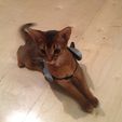 yumi4_display_large.jpg Free STL file Battle Kitten Ayumi・3D printer design to download