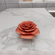 untitled.png 3D Flower Rose Gift for Girlfriend with 3D Stl File & Valentines Gift, 3D Print File, Flower Art, Flower Gift, Rose Plant, Flower Decor