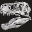 t-rex skull.jpg STL file T rex skull・3D printing design to download