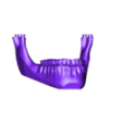 mandible.stl human skull