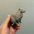 unpainted-printed-capybara.jpg Realistic Capybara
