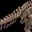 image4.jpg Alamosaurus: Complete skeleton