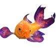 3.jpg GOLDFISH Guppy Blue Grass FISH TOAD AMPHIBIAN TADPOLE ANIMAL ANATOMY 3D MODEL WATER OCEAN RIVER BOAT SALMON SHARK