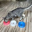 IMG_4608.jpeg Cat Bowl