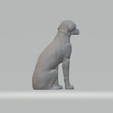 5.png Labrador Retriever Free 3D print model