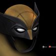 01-Wolverine-cowl.jpg Wolverine cowl