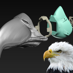 Eagle.png Fichier STL gratuit COVID-19 Casquette de masque, édition aigle chauve・Design imprimable en 3D à télécharger