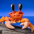 CrabPainted-0266-wide.jpg Ghost Crab articulated figure, print-in-place body, cute-flexi