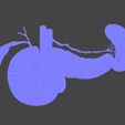 NORMAL.jpg Pancreas Cross Section Anatomy