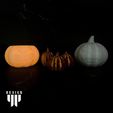 7DE54C0E-4C9F-465E-BA41-5A9EE7FE88CB.jpg Pumpkin Halloween