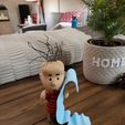 Linus van Pelt