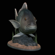 Dentex-statue-1-6.png fish Common dentex / dentex dentex statue underwater detailed texture for 3d printing
