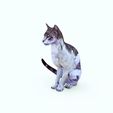 9i.jpg CAT - DOWNLOAD CAT 3d model - animated for blender-fbx-unity-maya-unreal-c4d-3ds max - 3D printing CAT CAT - POKÉMON - FELINE - LION - TIGER