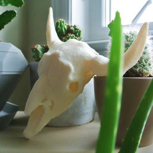 Capture d’écran 2017-11-08 à 17.34.42.png Bufffalo Skull (Large)