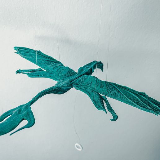 IMG_9099.jpg Avatar Ikran Flying Mobile