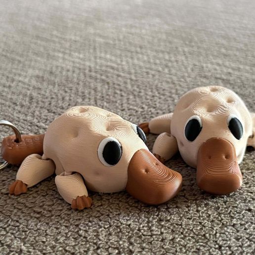 504679670_10164073613021412_2987404307769990895_n.jpg Flexi Plataterpus- part potato, part platypus, all adorable!!