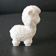 Cod557-Alpaca-With-Fur-5.jpeg 毛皮のついたアルパカ