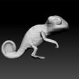 css33.jpg Cute chameleon - chameleon toy - chameleon toon - chameleon decorative