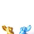 WhatsApp-Image-2023-01-19-at-8.41.24-AM-1.jpeg Archivo STL Nice Flexi Rabbit・Modelo para descargar y imprimir en 3D